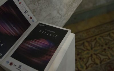 Los paisajes de May Reguera